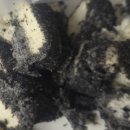 하츠(HAZ) 이미지