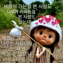 파크장 이미지