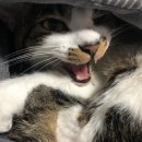 문재엄 헬스 이미지