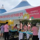 고산연합약국 네이버블로그
