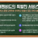 투비비드