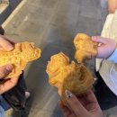 제주공항숙소 그린데이 스텝의 1월 식도락