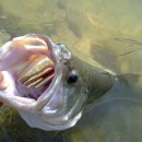 광산구-161 이미지