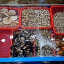 대천항세꼬시 이미지