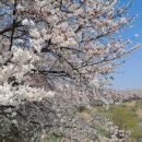 변응정 사당 이미지