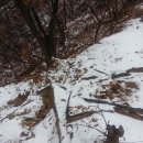 더마니주유소 이미지