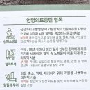 마산보건지소 | 사전연명의료의향서 작성 후기 연명의료결정제도