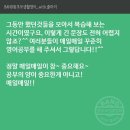 왕초보 생활영어 이미지