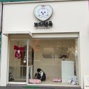 쁘띠앤독 이미지