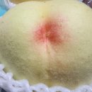 이언농장 이미지