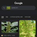 강진-6 이미지