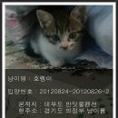 호랭이