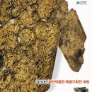 복천박물관 이미지