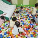 펀펀 - 세종특별자치시 고운서길 19 | 펀펀