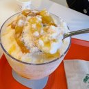 망고파인 이미지