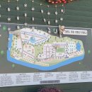 강원도힐링캠핑장 이미지