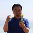 (주)다모