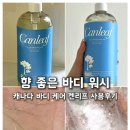 밸런스 바디디자인 | 향좋은바디워시 찾는다면 캐나다바디케어 켄리프 사용후기