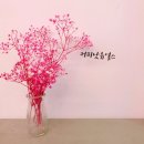 이알디자인 이미지