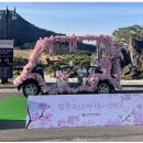 신라스크린골프 이미지