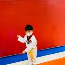 정도 K타이거즈 태권도 이미지