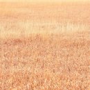 진발전소 이미지