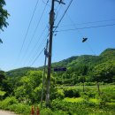 온천강변길2 이미지