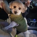 무브멍트 이미지