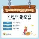 [세무잡] 탑코리아세무법인남부지점 - 신입직원모집