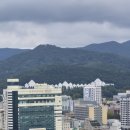 사직중앙로 이미지