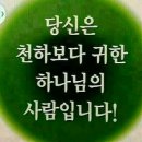 주은농장 이미지