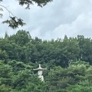 버르짱머리
