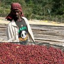 엘 농장 이미지