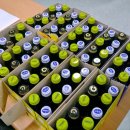 영지카센타 이미지