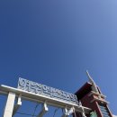 바다고양이식탁 | 여수 내돈내산 맛집 여행 | 꽃돌게장1번가 | 바다식탁 | 바다김밥 | 여수당 | 구봉만두 | 갓버터도나스