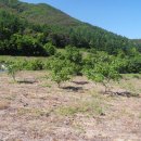 가음농장 이미지