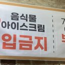 돈모리 이미지