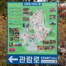 상효원 | 제주 서귀포 가볼만한곳 겨울 동백 풍경 상효원 수목원 예약 입장료 정보