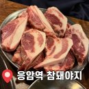 (주)세븐일레븐 은평응암점 | [응암역 참돼야지] 뒷고기 맛집 ｜은평구 신사동 가성비 삼겹살·막창