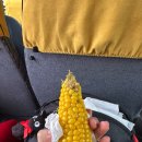 미가외식산업 | 알마티 여행