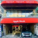 워시고 | 🚗 광안리 실내크리닝 버섯담금주 쏟음 냄새 제거 후기 (애플워시)