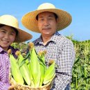 가꾸미 미용실 이미지