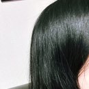루트앤링크