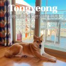 지리산 순심이네 캠핑 민박 | 강아지랑 사량도 여행, 중형견 동반 민박 로시난테 펜션 후기