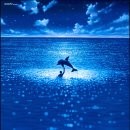 그랑블루 이미지