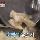 촌놈의짬뽕