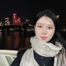 한강디너불꽃 크루즈 현대유람선 야경 ,뷔페 후기