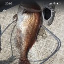 당근PC방 이미지