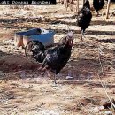 (주)지산농원 이미지