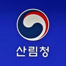 3204 이미지